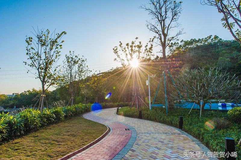 中国第一家度假型希尔顿酒店，1600元的价格到底值不值得去住？