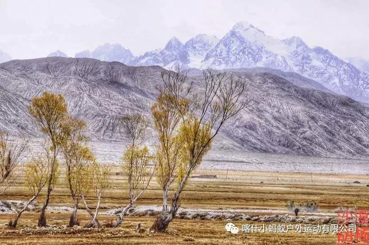 帕米尔高原肖贡巴哈尔节,帕米尔高原上的肖贡巴哈尔节
