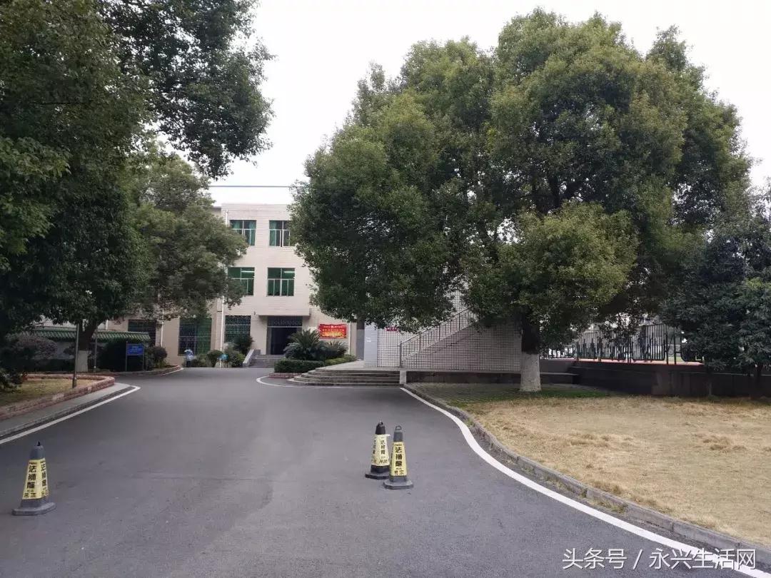 永兴一中老师名单,永兴一中