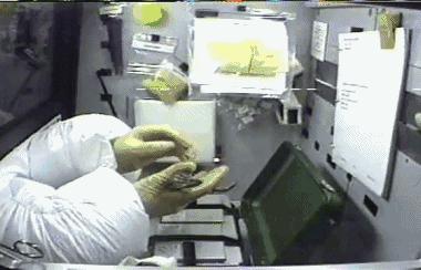 你知道青蛙旅行好玩，但不一定知道真正的青蛙早就玩过太空7日游