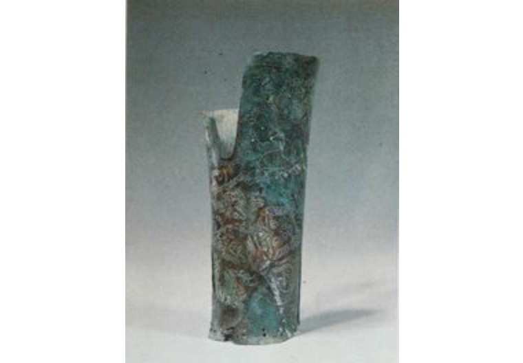 古希腊、古玛雅、古埃及还有中国，哪里是蜜蜂的起源