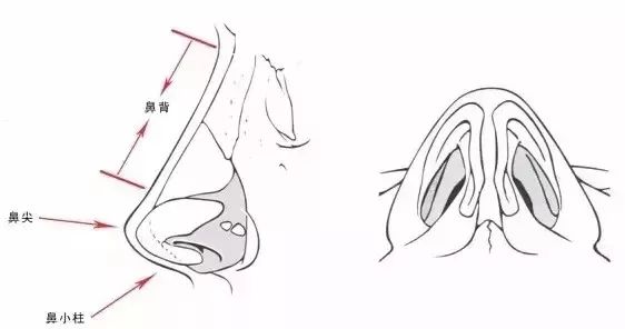 「爱美」双眼之间“一片荒芜”,鼻子一塌毁所有啊!