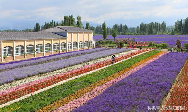 新亚欧大陆桥对新疆的意义,新亚欧大陆桥对新疆开发意义