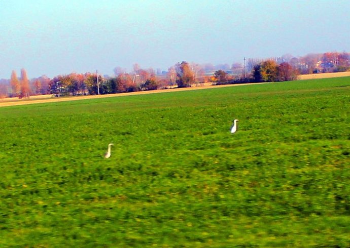 我眼中的俄罗斯文化,我眼中的华夏文化