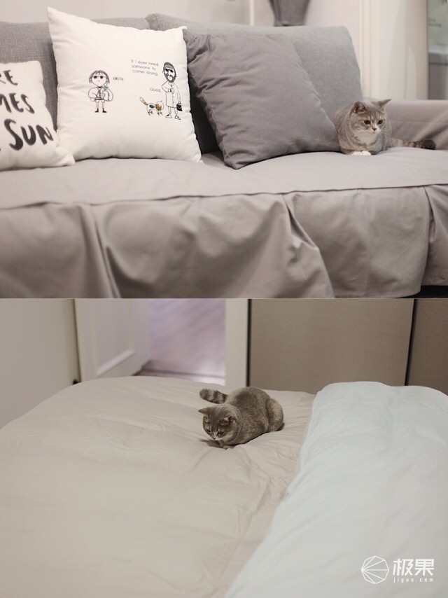 猫奴必做攻略,猫奴必看喵星人