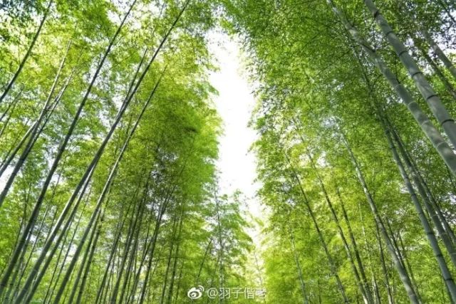 不再关心不再过问,不再过问身后事