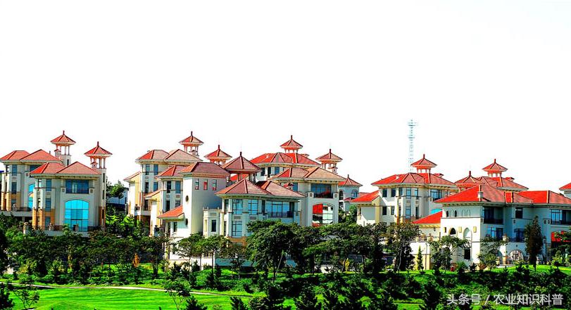 全国100强村排名,浙江省100强村排名