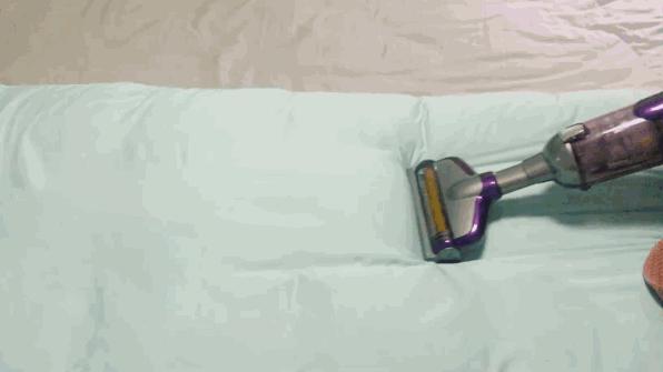 猫奴必做攻略,猫奴必看喵星人