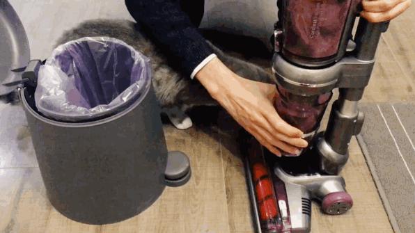 猫奴必做攻略,猫奴必看喵星人