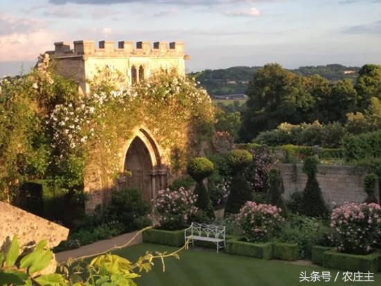 两位英国园艺师却将他们最好的作品留给了自己