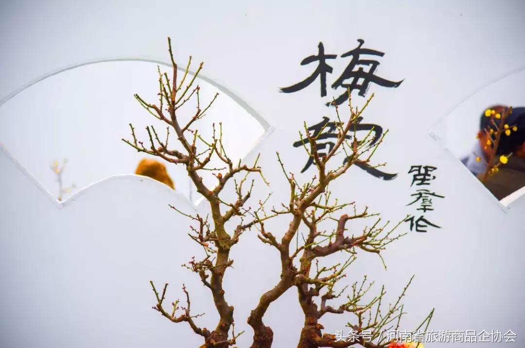 玩转河南冬天,玩转河南许昌