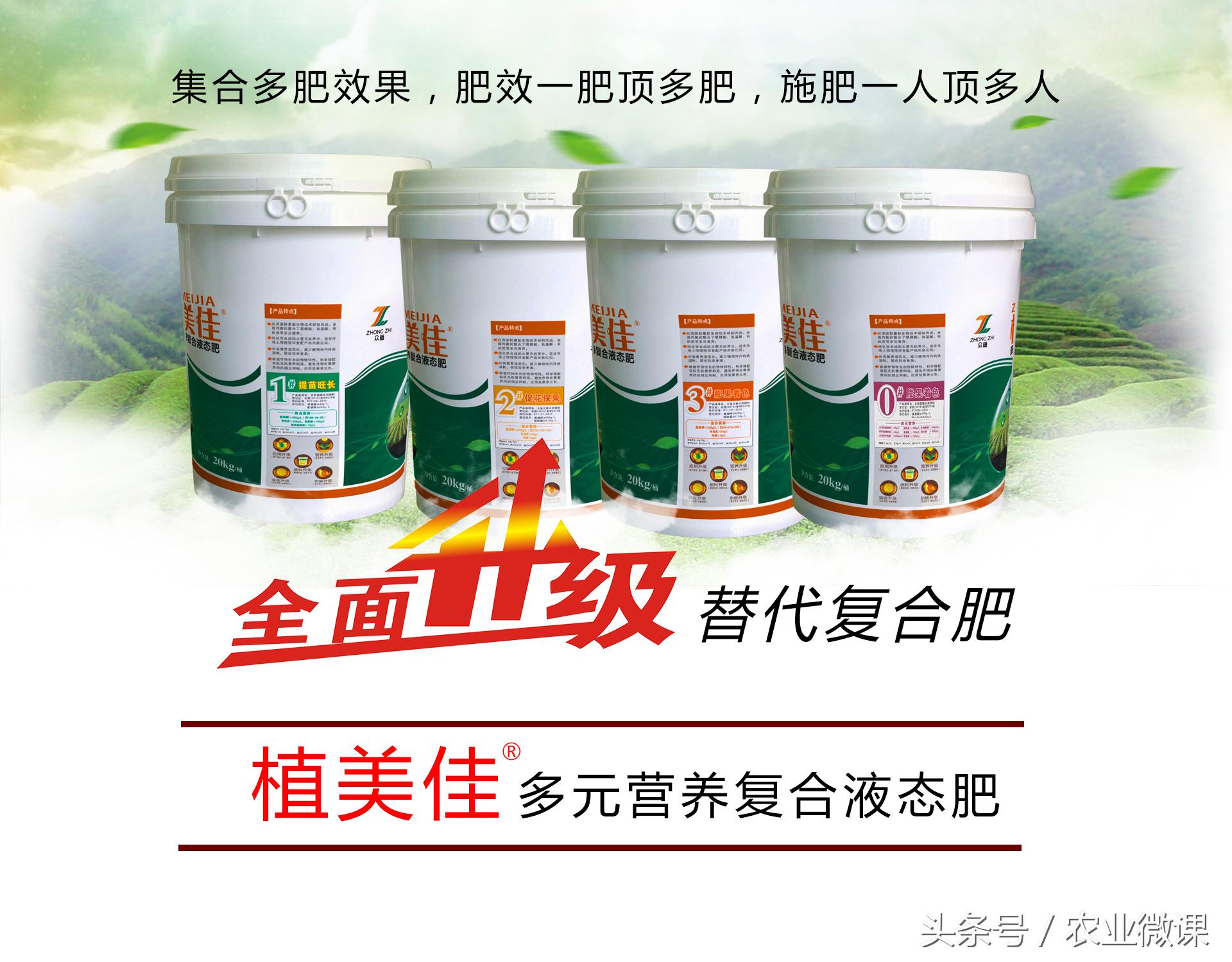 橘树生虫用什么药防治,八种害虫