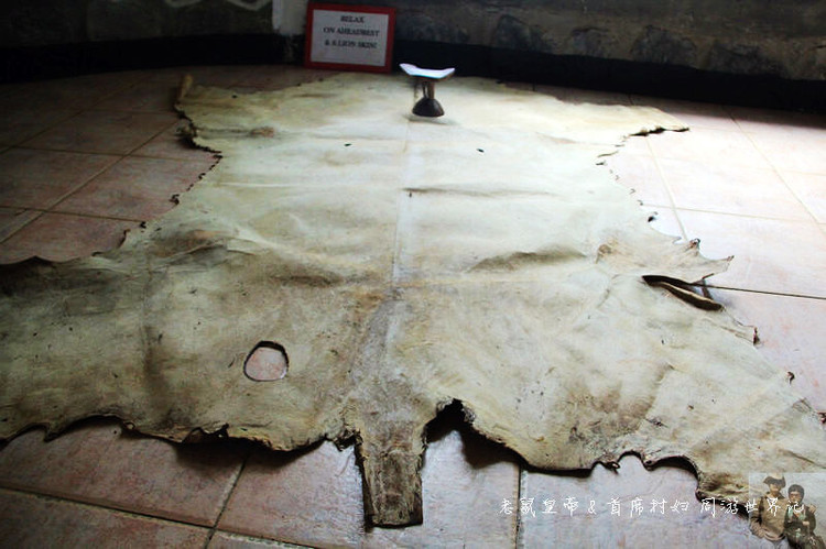 埃塞有块任性草坪:大部分时间是足球场,偶尔是机场,有时还混用