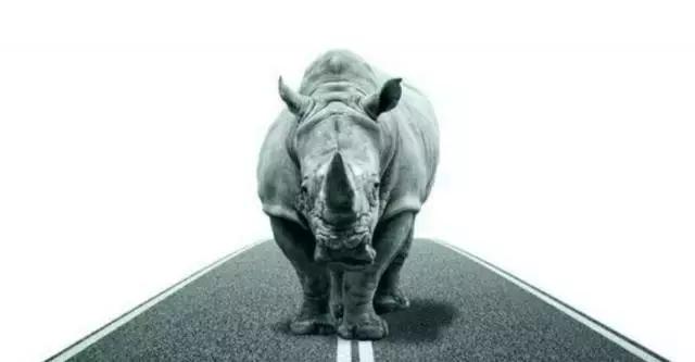 黑天鹅事件由来,黑天鹅事件详细介绍