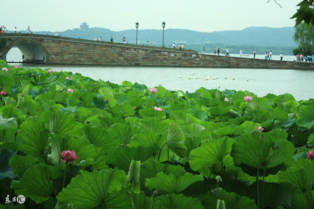 杭州的互联网公司都有哪些,杭州有哪些靠谱的互联网公司