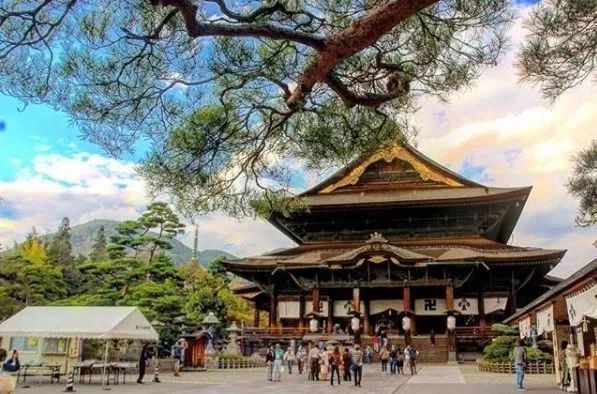 “女朋友和她的青蛙儿子跑了”去这些地方找和青蛙跑了的女朋友