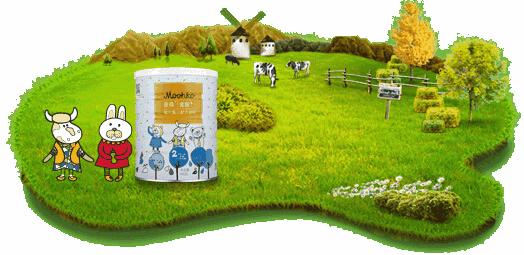 麦蔻金装奶粉质量怎么样,麦蔻原装进口奶粉怎么样