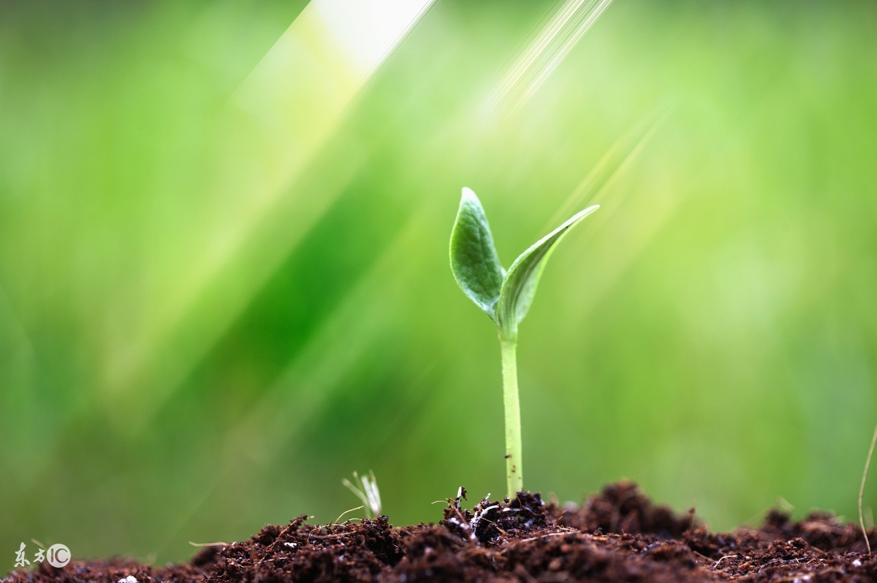 互联网怎么兼职赚钱日结,0基础怎么通过互联网兼职赚钱