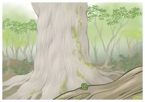 “女朋友和她的青蛙儿子跑了”去这些地方找和青蛙跑了的女朋友