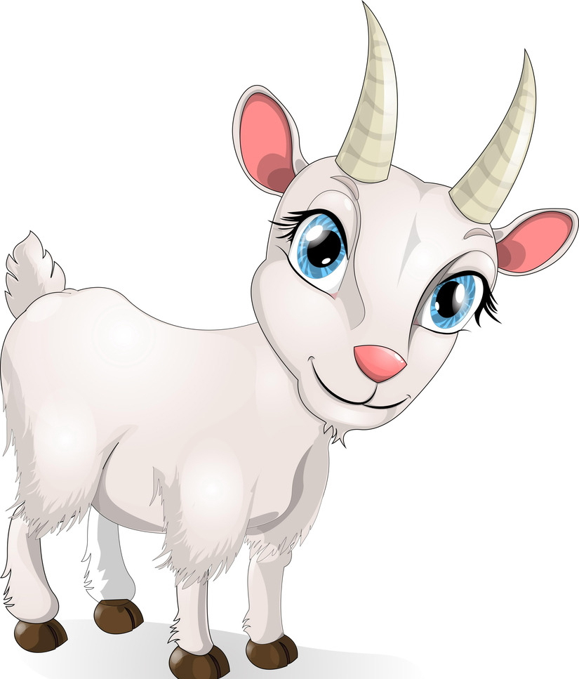 十二生肖的桃花运和运势,2012年4月13日十二生肖运势与桃花