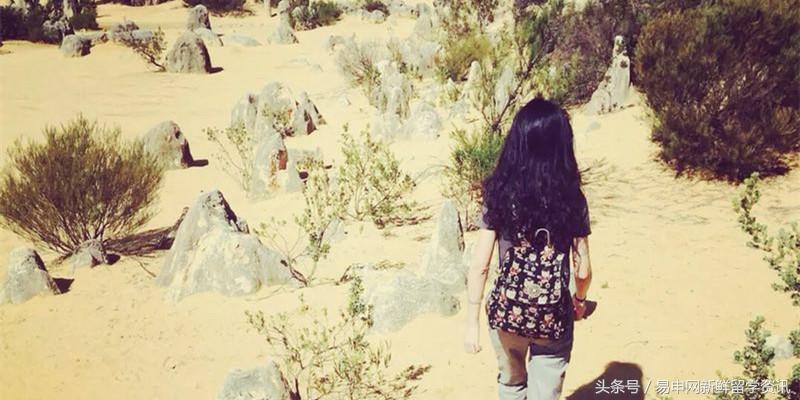 初到澳洲,留学娃们要寄这些明信片