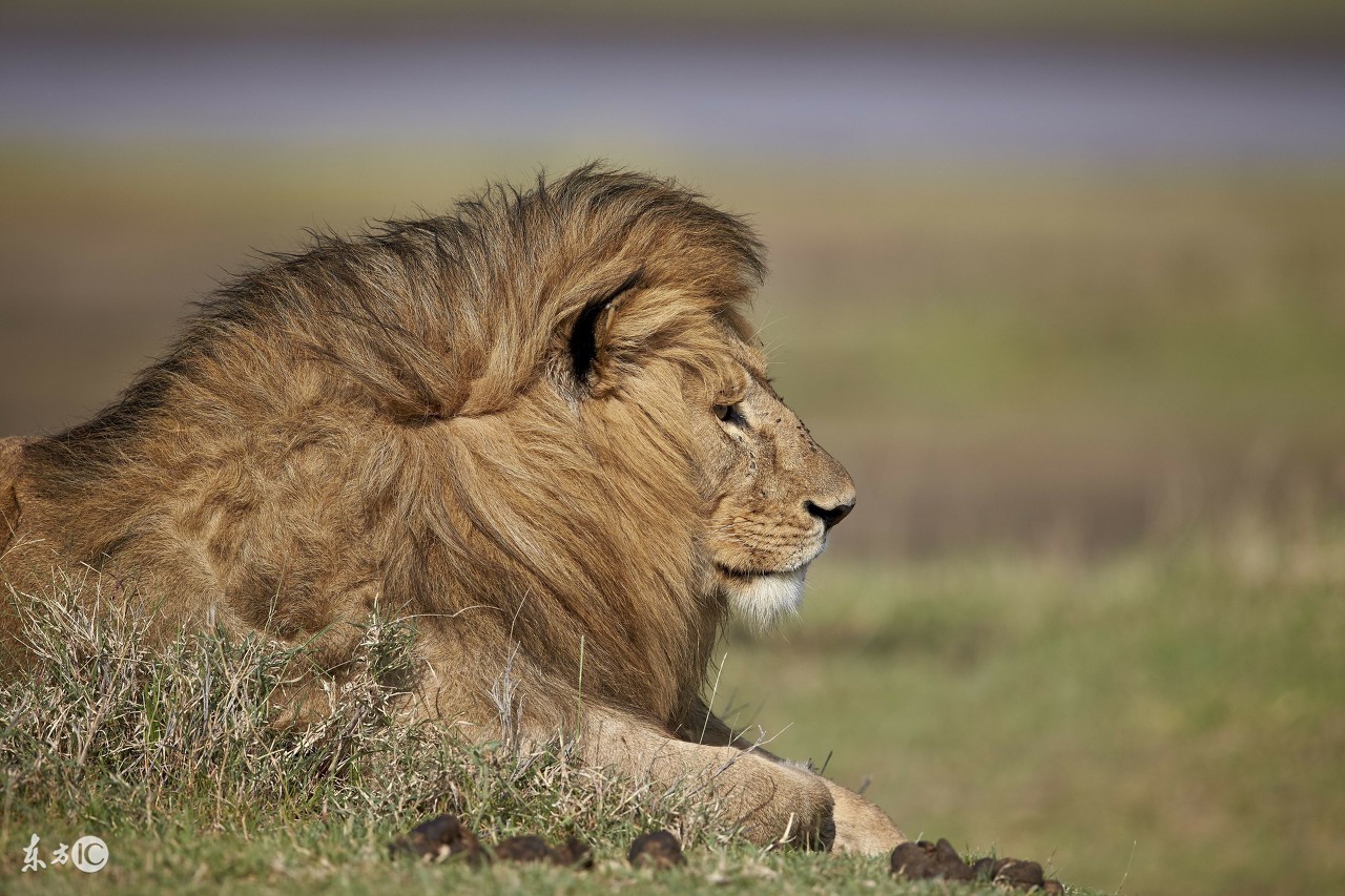 看图旅游,看图旅行