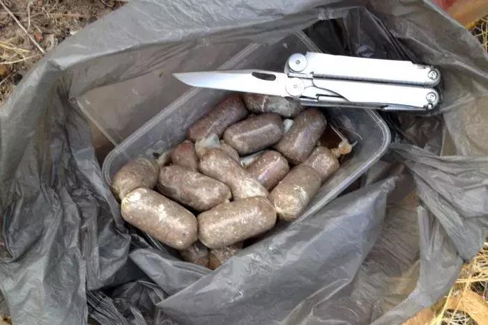 澳洲大量狗舔蟾蜍上瘾,狗狗舔到蟾蜍有没有事