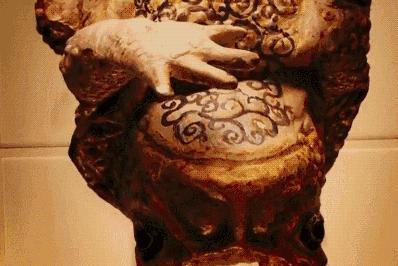 澳洲大量狗舔蟾蜍上瘾,狗狗舔到蟾蜍有没有事