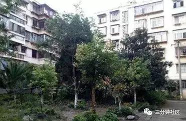 昆明东华二小魅力分校排名,东华二小在昆明排名