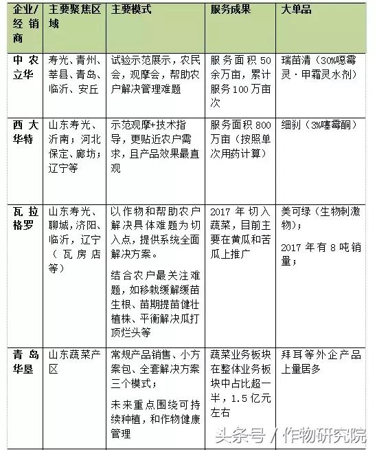 山东设施蔬菜如何在菜价跌落三成、市场遇艰下突出重围？