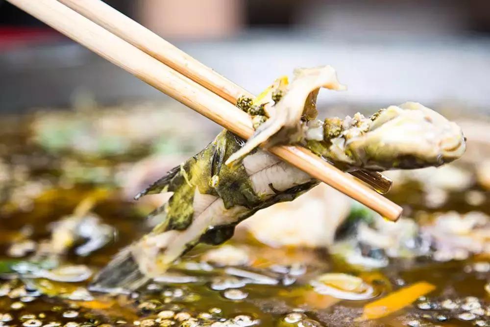 吃起：成都这9家鱼店吃鱼味道巴适，趁着周末带上家人去尝尝