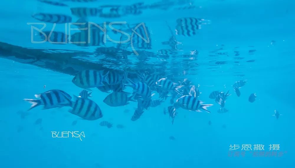 菲律宾好玩的特产,菲律宾什么便宜