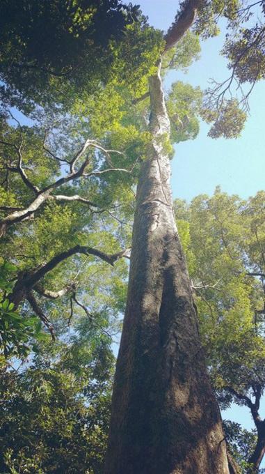 三亚旅游攻略纪念品,自驾游海南三亚必备物品清单