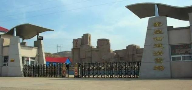 周末滑雪怎么去,周末去雪野湖哪个位置好玩