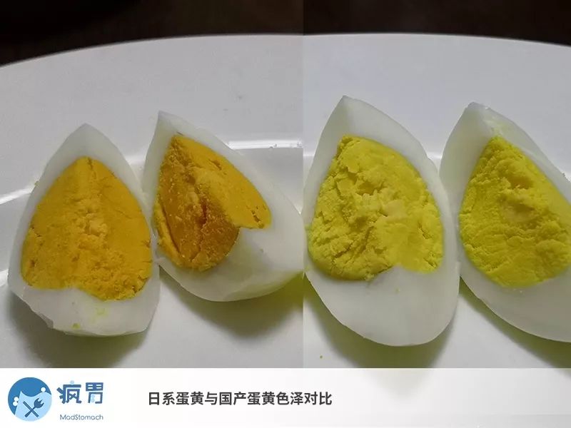 教你一招如何辨别鸡蛋好坏的方法,你不知道的鸡蛋小常识