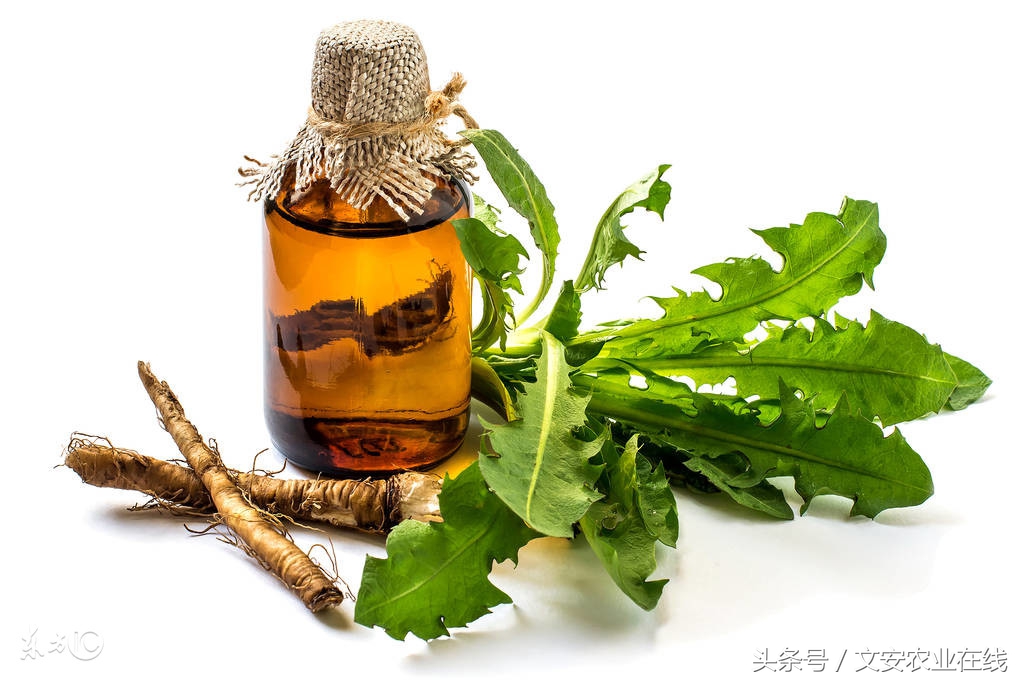 58种杀菌剂知识详解,58种杀菌剂知识详解（珍藏版）