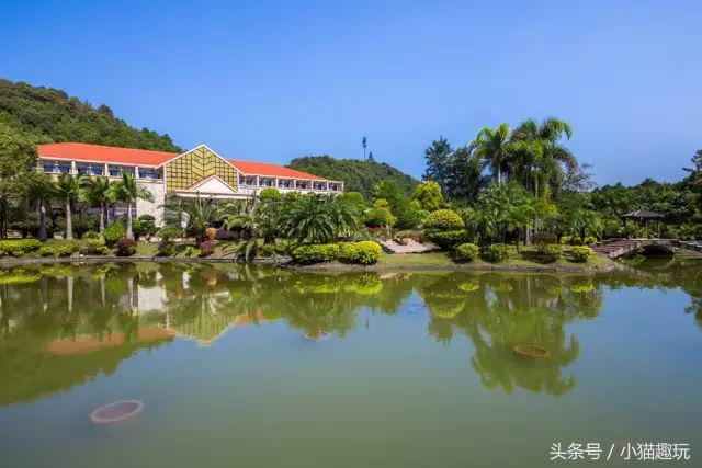 广东清远市英德奇洞温泉度假村,英德望埠奇洞温泉度假门票2021