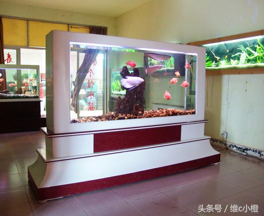 常见的风水吉祥物品,十大常用风水物品