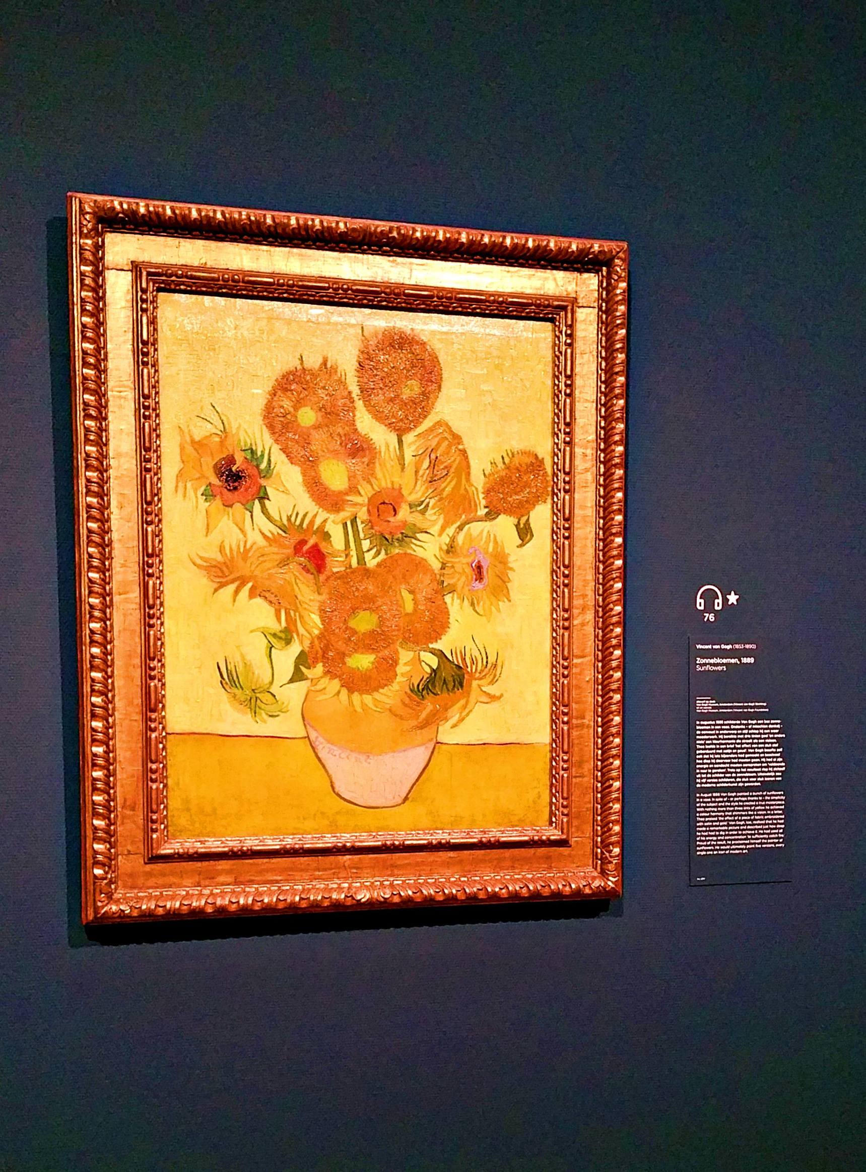 荷兰威尼斯旅游,尽情的体验异域威尼斯的水乡风情