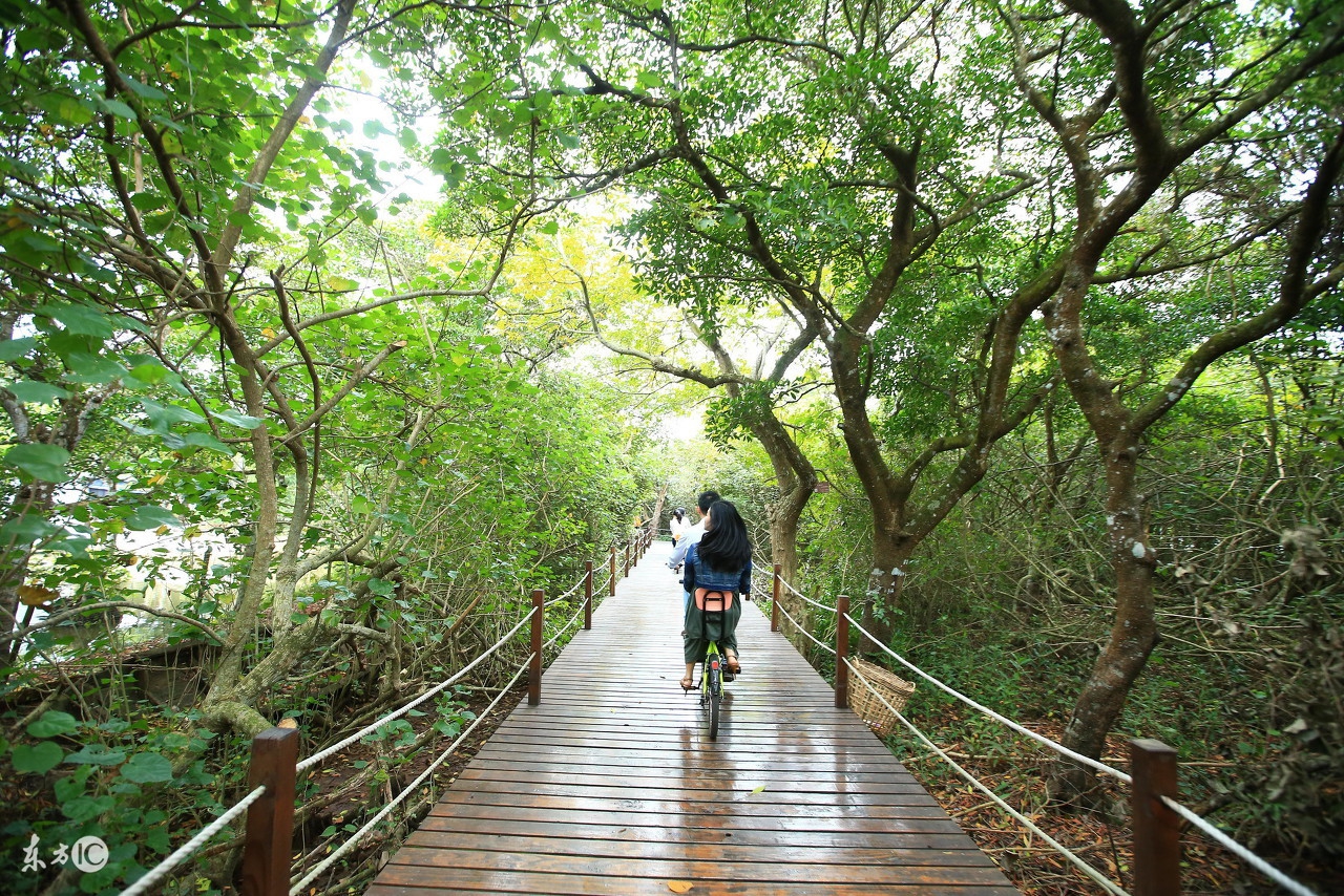 屯昌天悦花园最新房价,屯昌县天悦花园三房