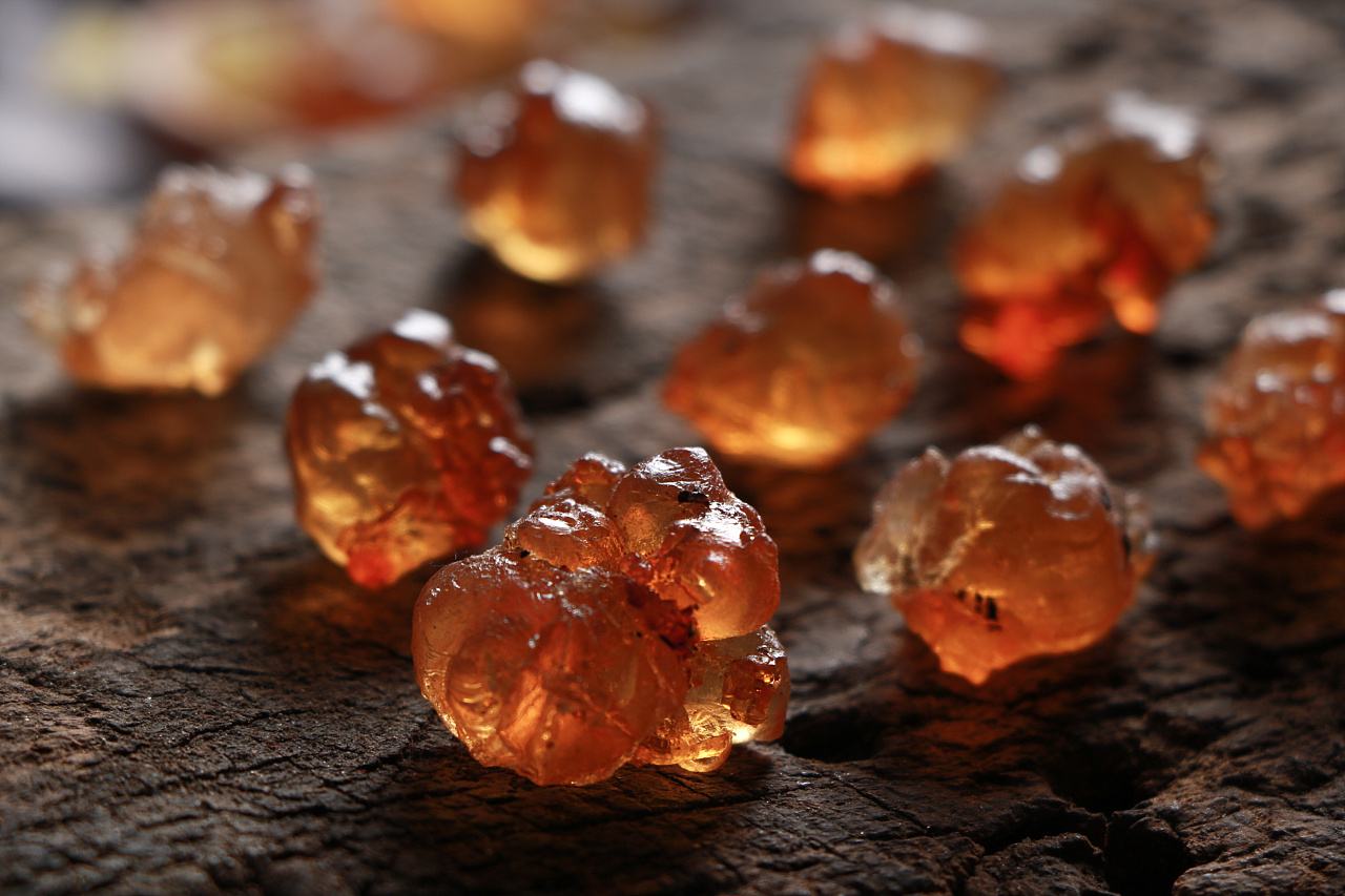 植物燕窝是不是真的,什么是植物燕窝