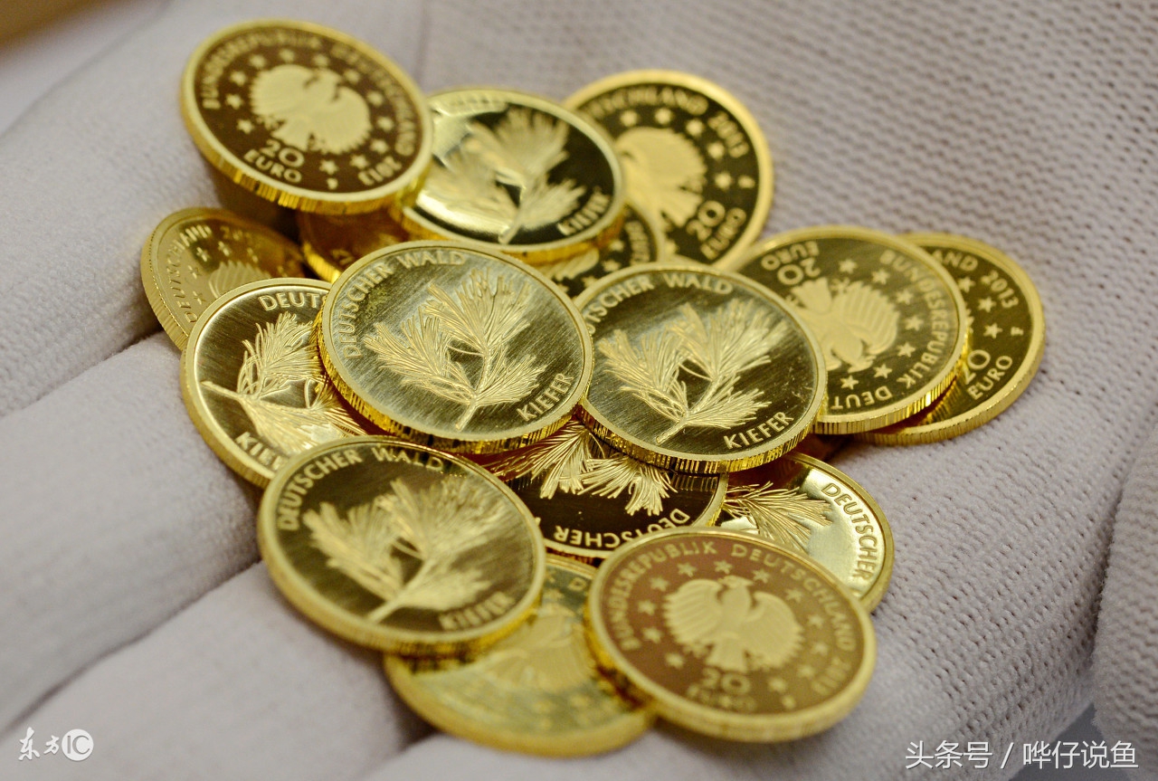 一个水族馆卖鱼缸一年能卖多少钱,开一家水族店的感受