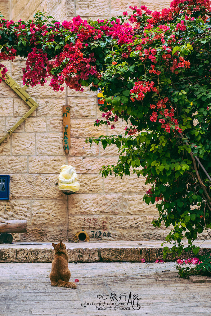 以色列三千年历史,以色列穿越时空项目