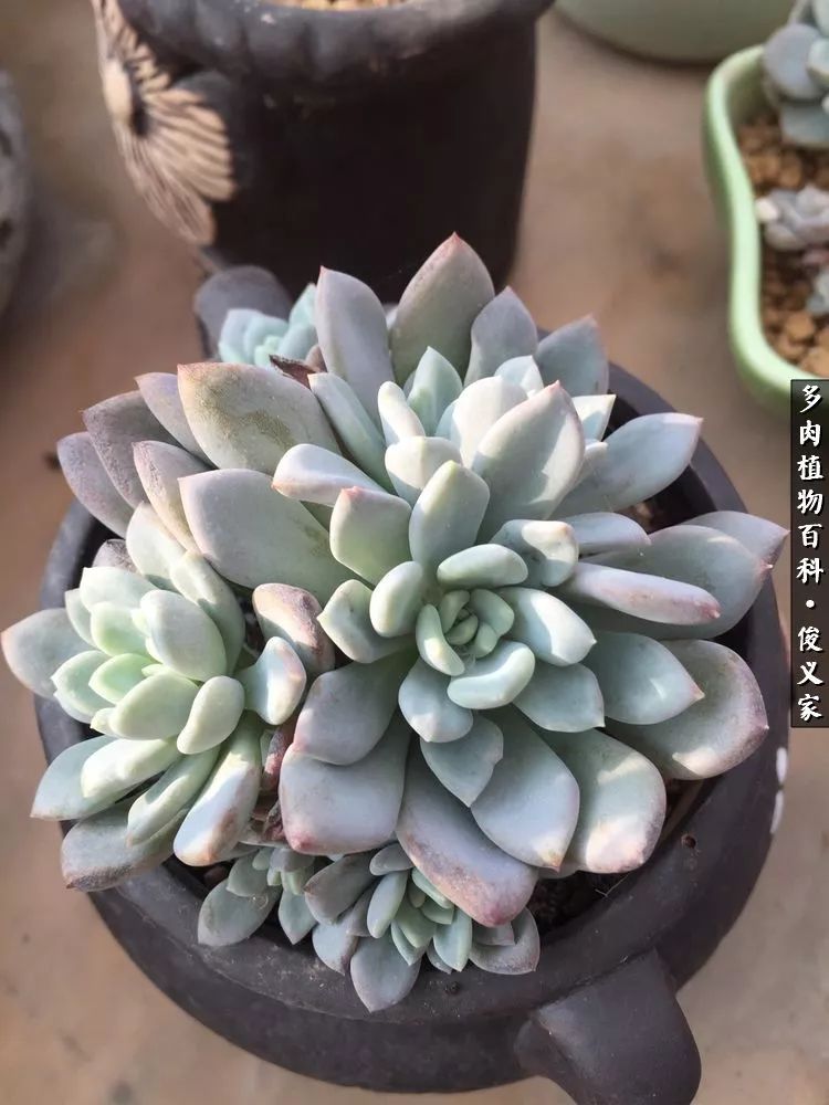 遇见你真是很幸运,遇见你真的很幸运下一句