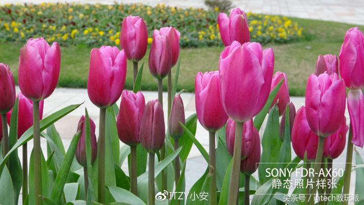 索尼fdr-ax60摄像机拍星空,索尼fdr-ax604k数码摄像机怎么玩