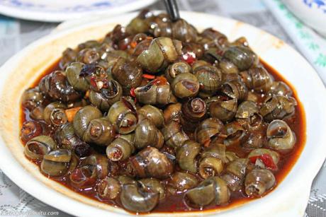 农村乡下水里的这些野货，你小时候有没有捉过？觉得好吃吗？