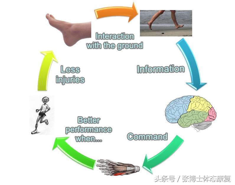 运动脚崴伤怎么快点恢复,运动损伤康复脚踝扭伤处理