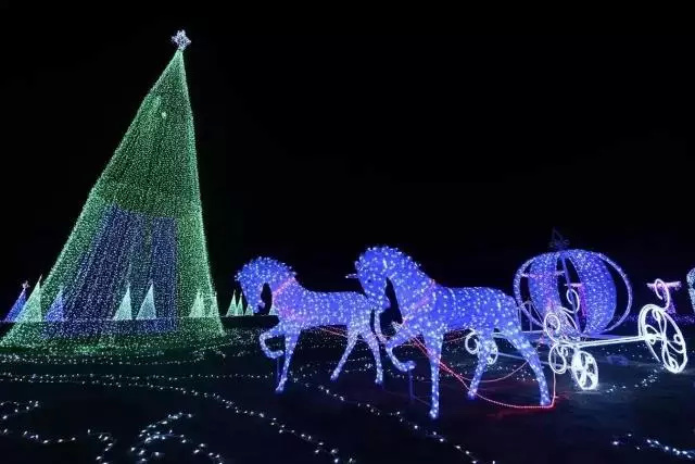 缤纷悉尼灯光音乐节西安,缤纷亚马逊