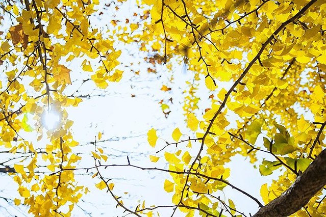 去济州岛不会英语怎么过海关,去济州岛旅游不会英语怎么办