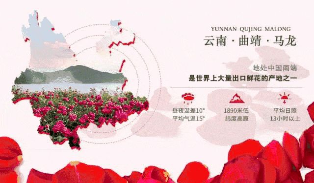 送礼就送鲜花饼,送礼送嘉华的鲜花饼